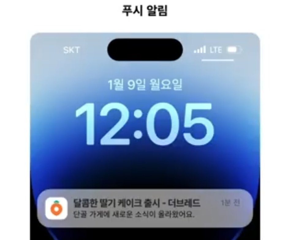 푸시알림