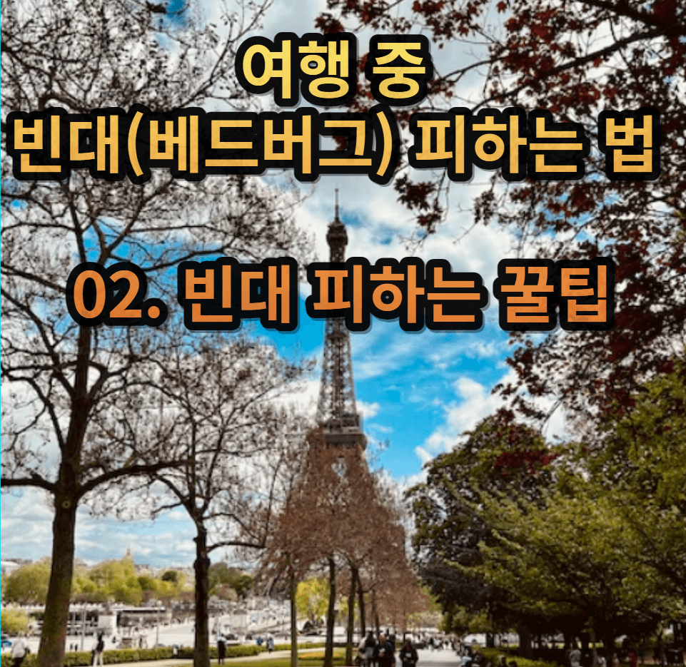 여행중빈대(베드버그)피하는법-빈대피하기수칙