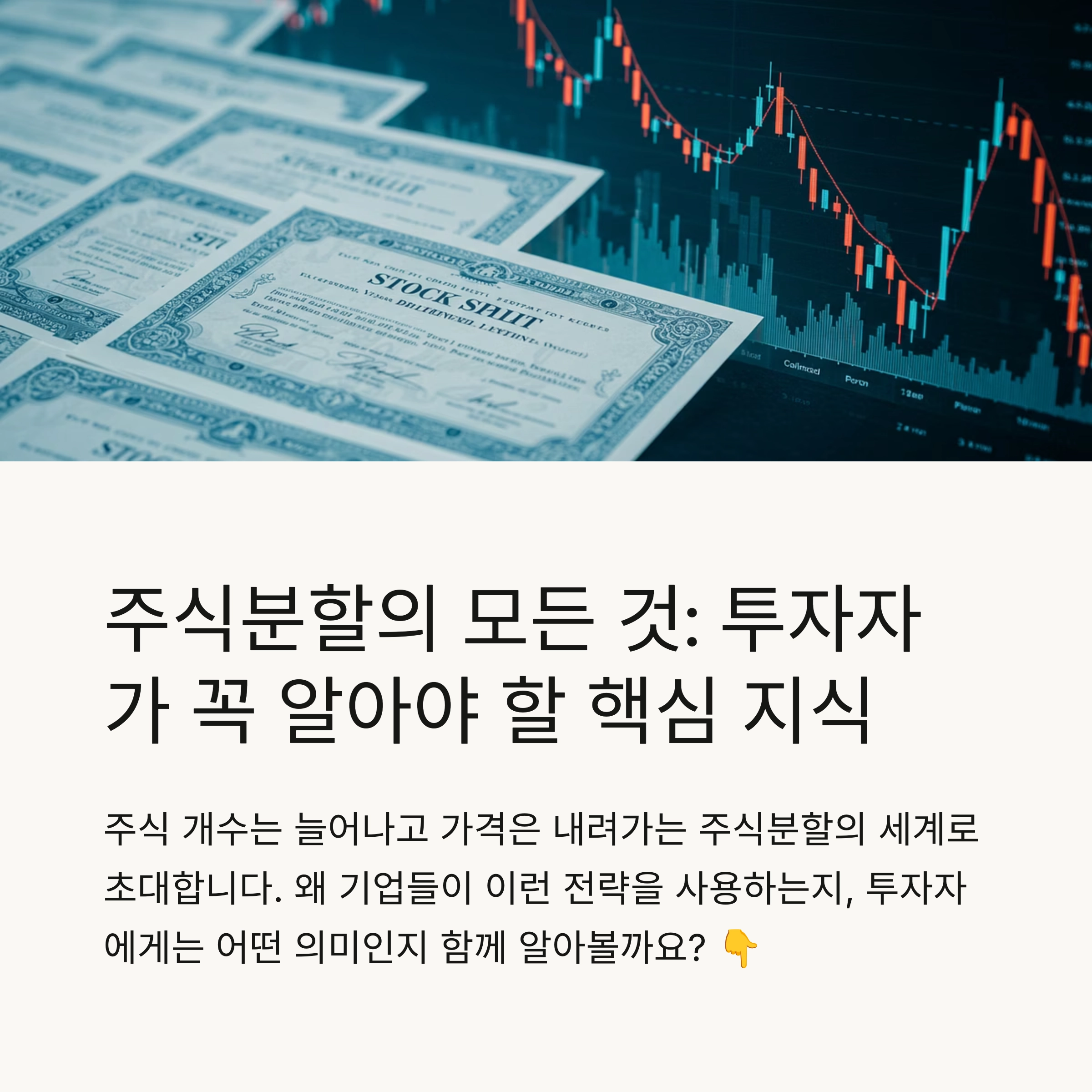 📋 목차