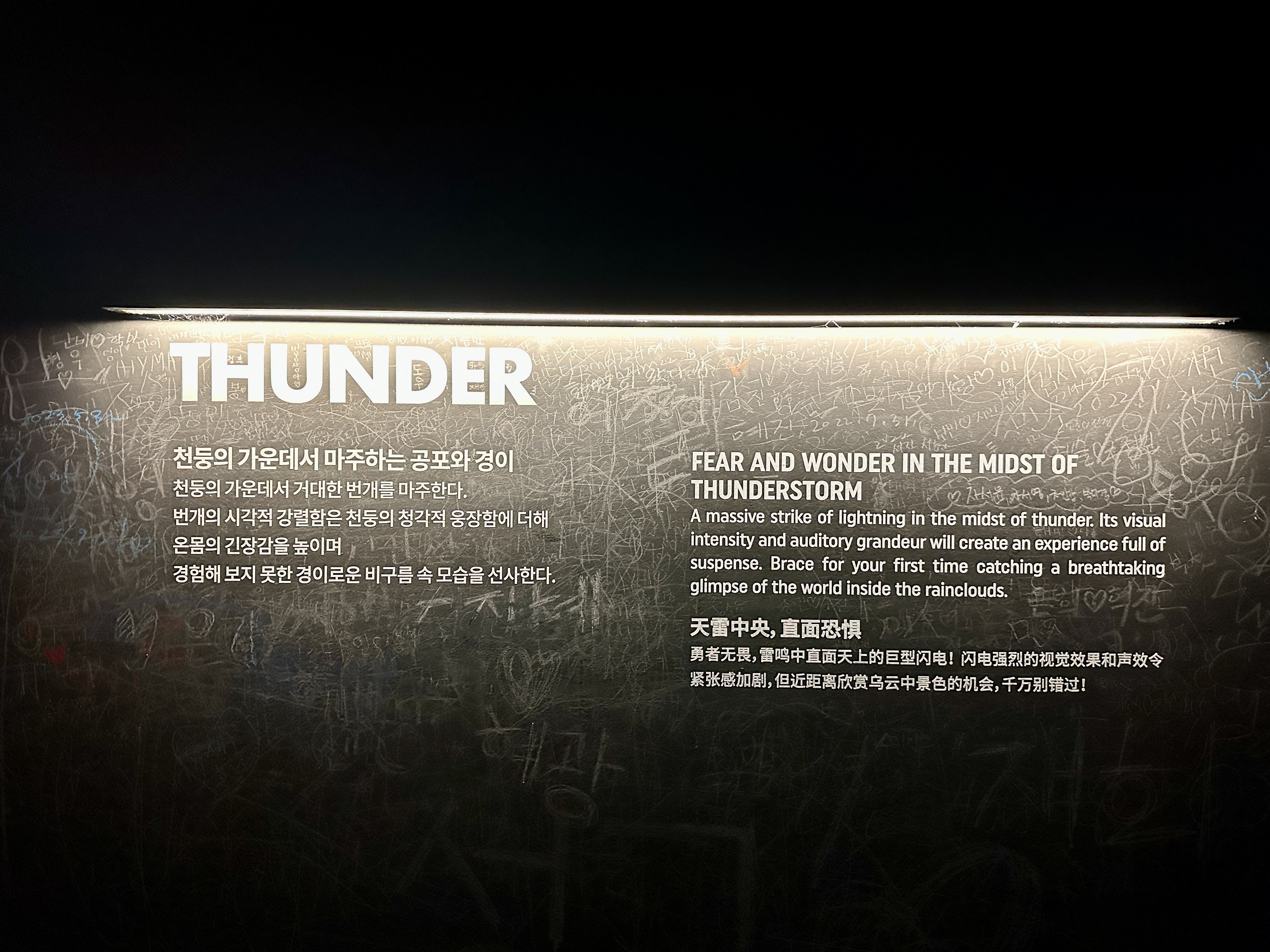 강릉 아르떼 뮤지엄 천둥