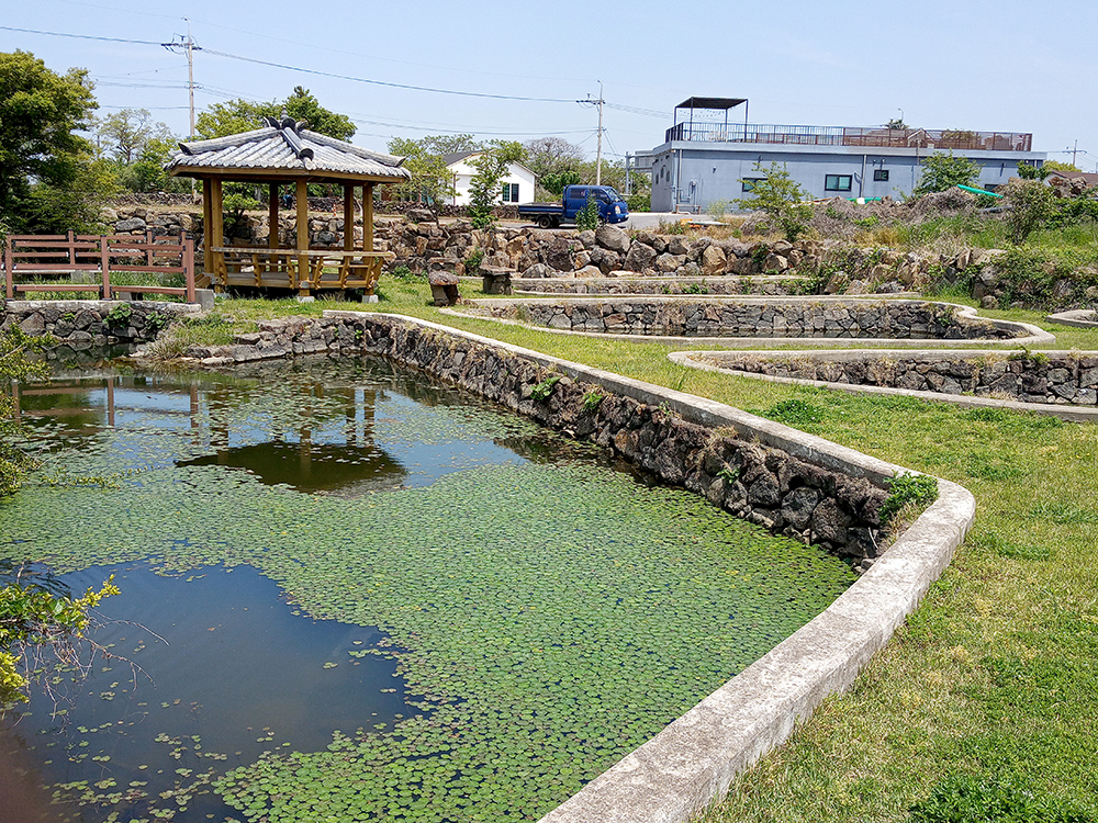 올레길 13코스: 저지예술정보화마을에서 용수리포구까지