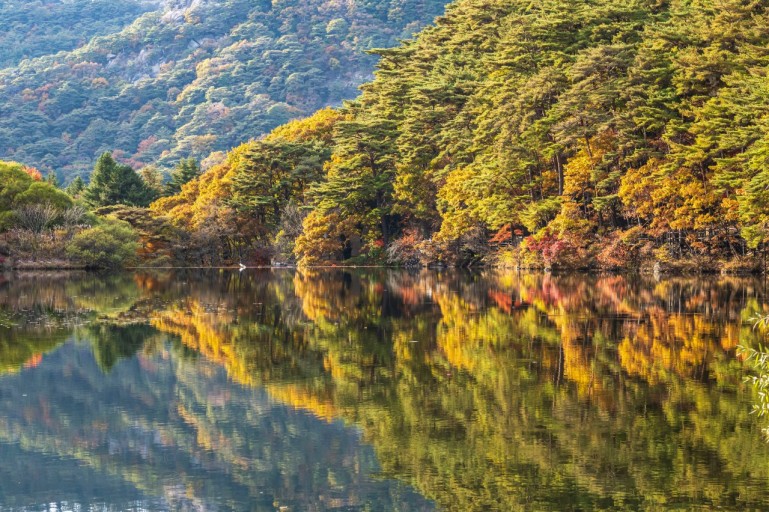 속리산 단풍시기