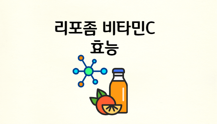 리포좀 비타민c 효능 썸네일