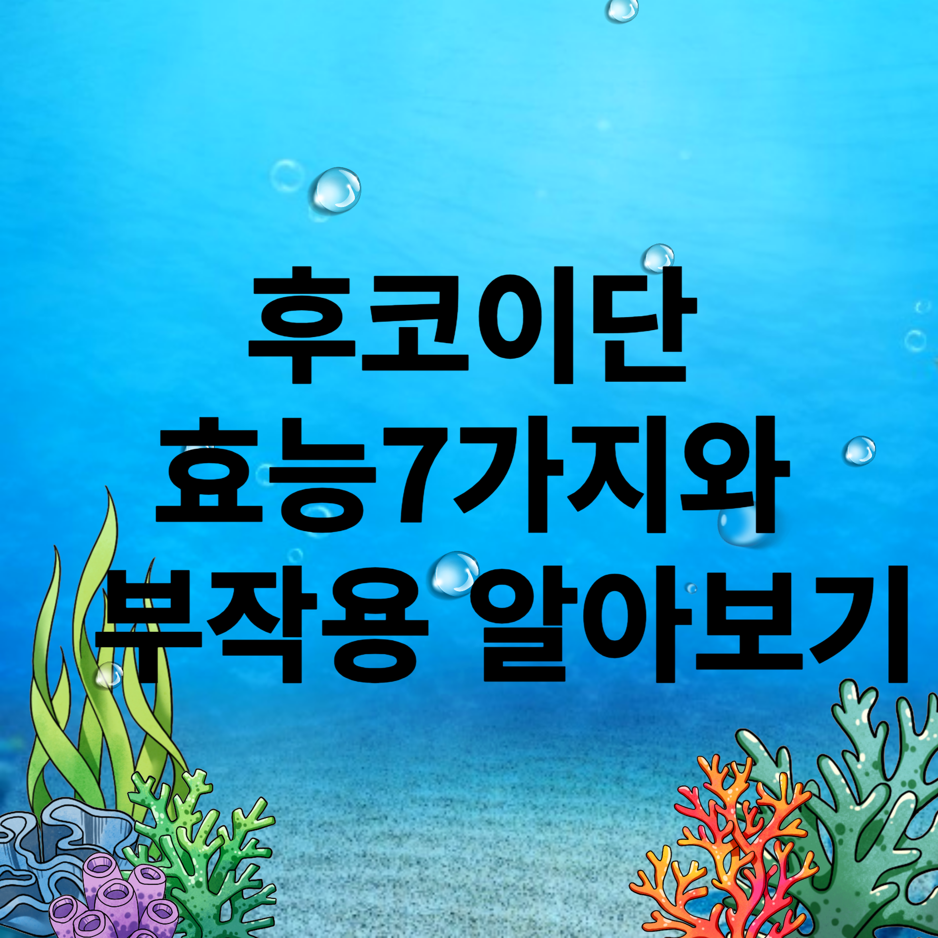 후코이단 효능 7가지 및 부작용