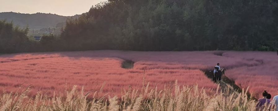 청농원 전경