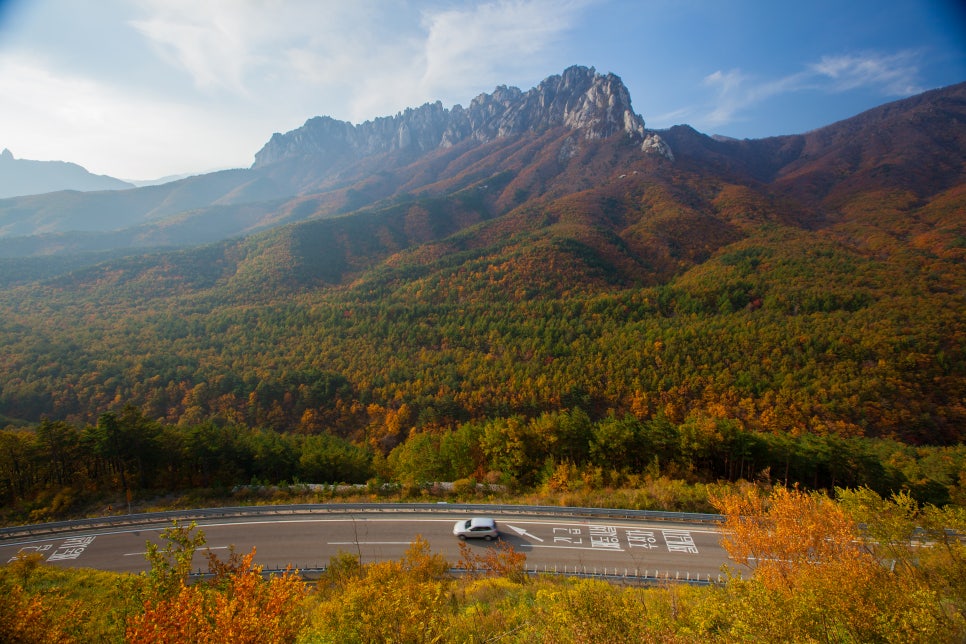 가을단풍드라이브