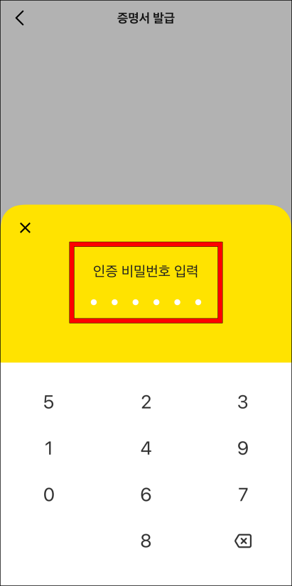 카카오뱅크의 인증 비밀번호를 입력