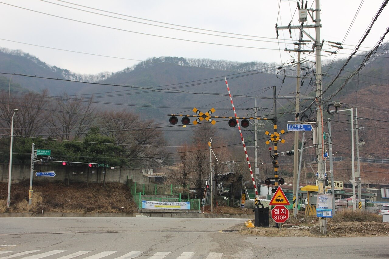 2025 철원DMZ국제평화마라톤 완벽 가이드: 평화의 길을 함께 달리다.