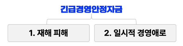 티몬-위메프-피해-소상공인-긴급-지원금-긴급-경영-안정-자금-신청-방법-자격-조건-기한