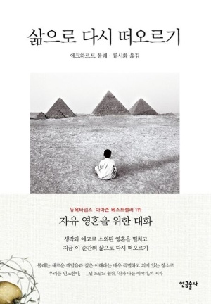 에크하르트 톨레의 깨달음