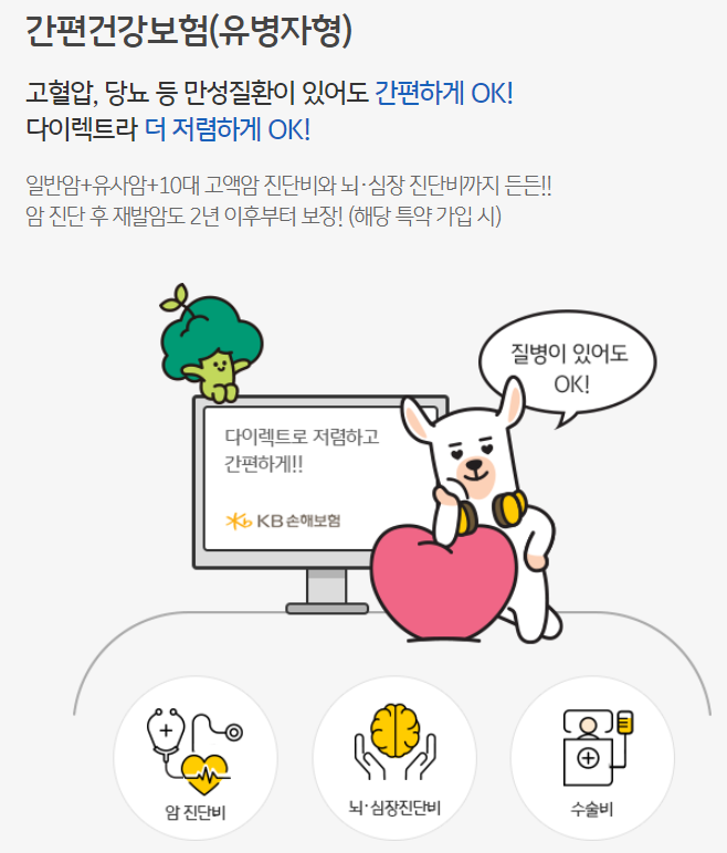 간편건강보험 총정리
