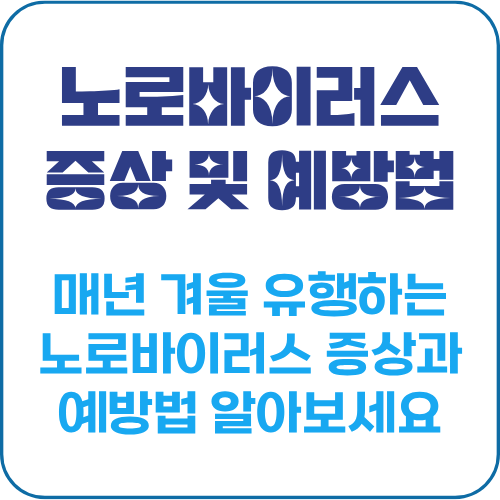 노로바이러스 증상 및 예방법