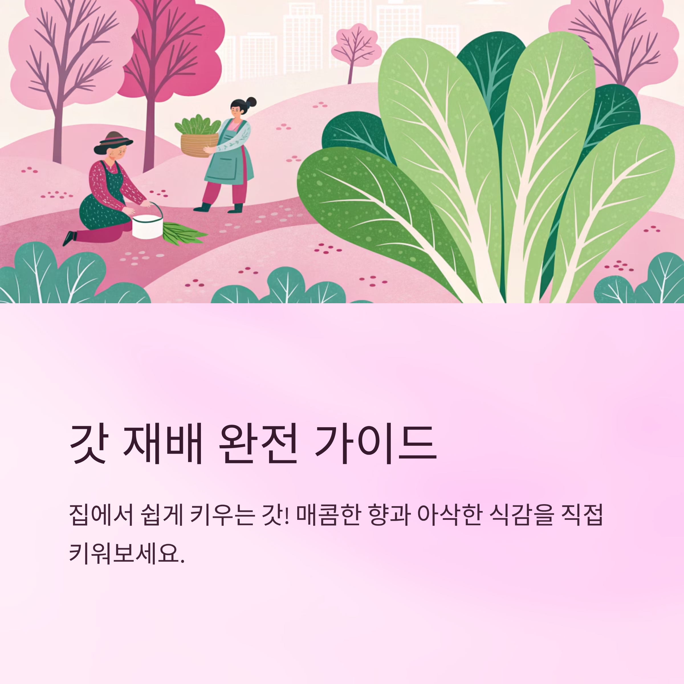 갓심는시기 알아두면 좋은 실용팁