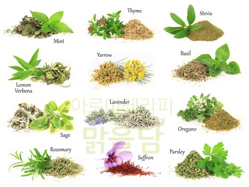 아로마-재료가-되는-허브식물