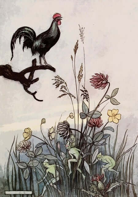 2024년 신년운세 닭띠 2월 쫙펴진 날개~