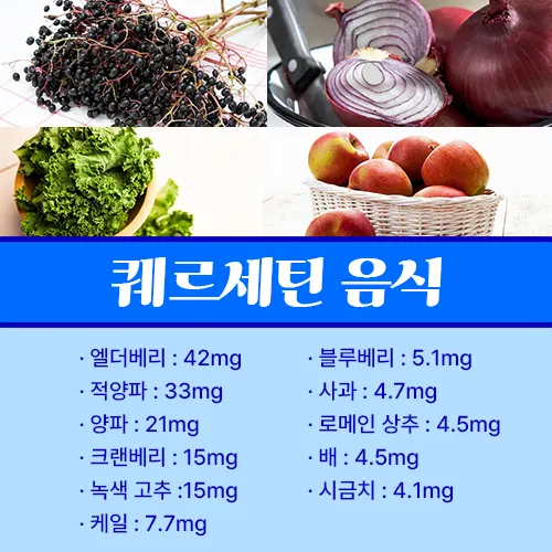 퀘르세틴 음식