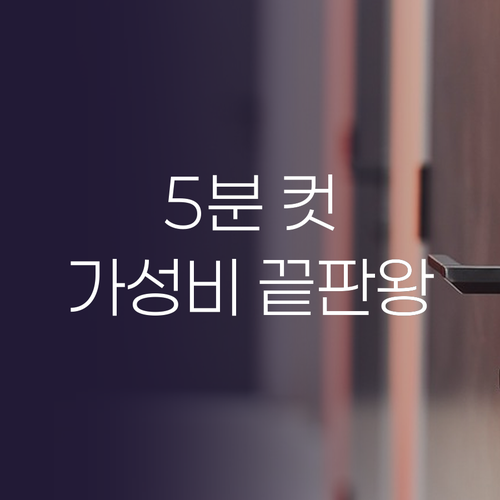 5분 셀프 교체 끝 K1 DOMO와 ..