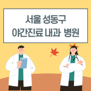 성동구 야간진료 내과 병원 리스트 (18시 이후 늦게까지하는 병원)