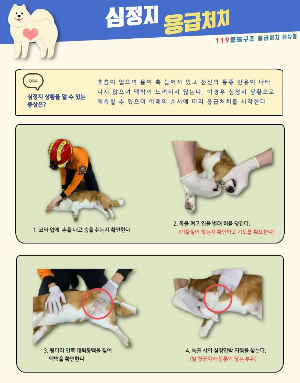 심정지 응급처치 메뉴얼