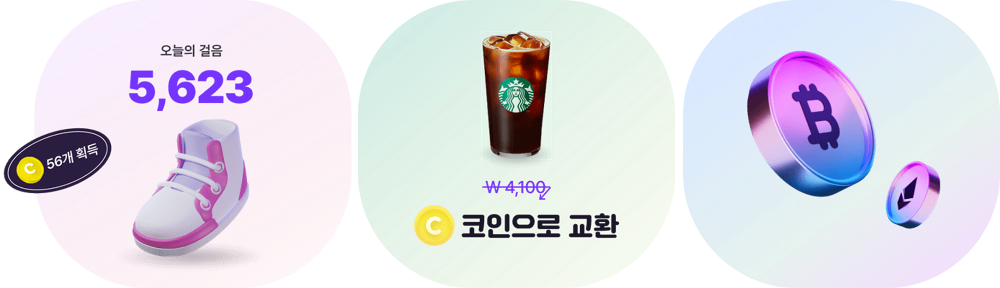 비트버니 주요 특징 3가지