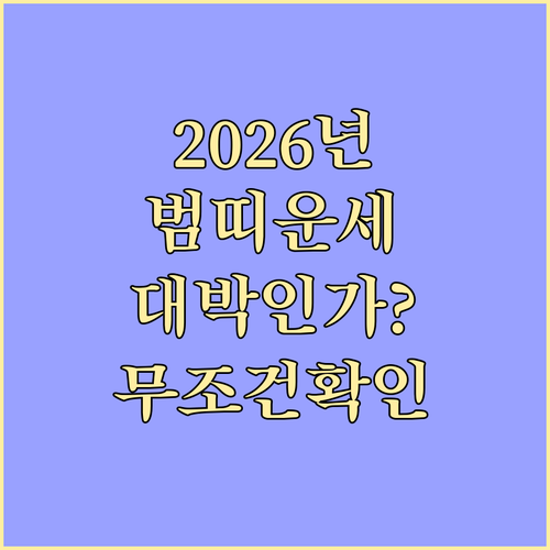 2026년 범띠 운세 총정리 62년생..