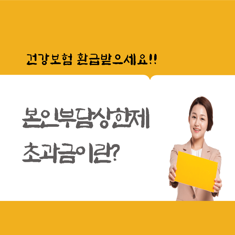 본인부담상한제 초과금 썸네일