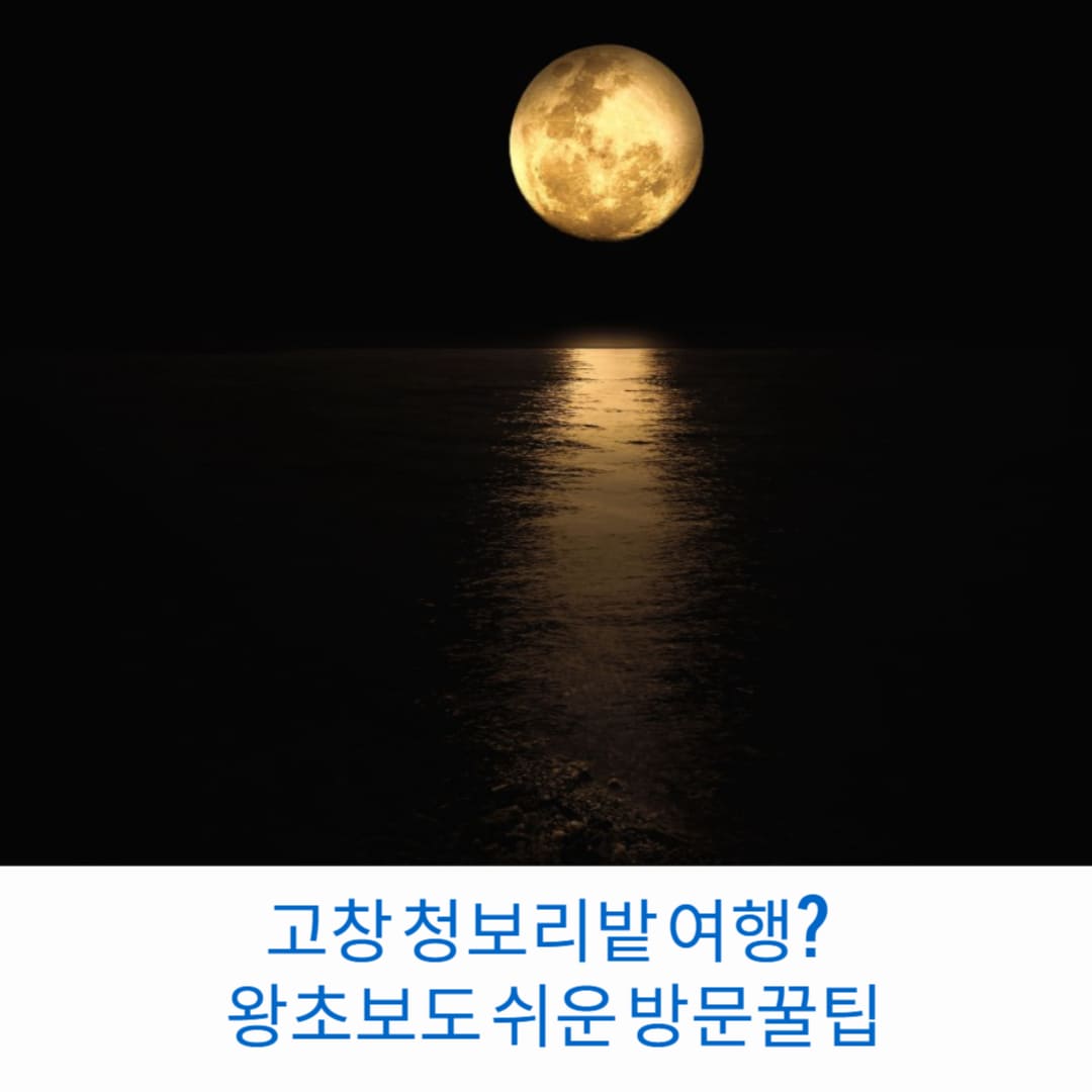 고창-청보리밭-여행-걱정마세요-왕초보도-쉬운-방문꿀팁-썸네일