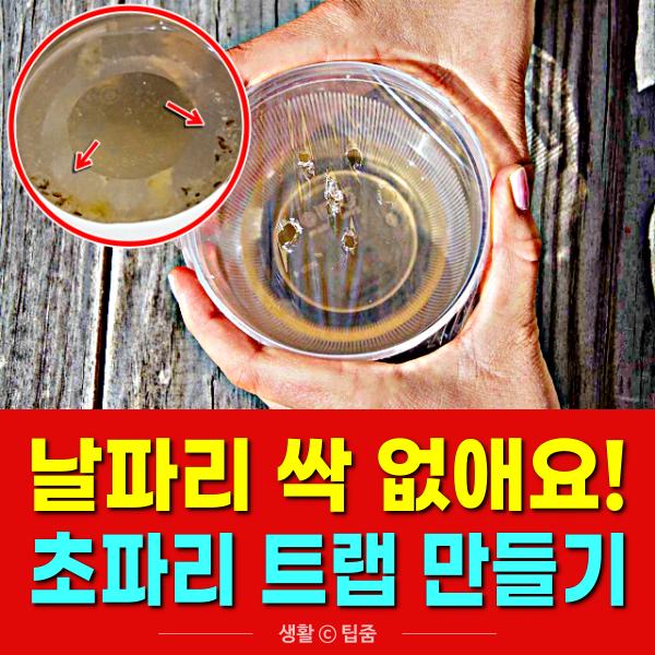 초파리 없애는 방법, 날파리 퇴치법, 초파리 트랩 만들기, 팁줌