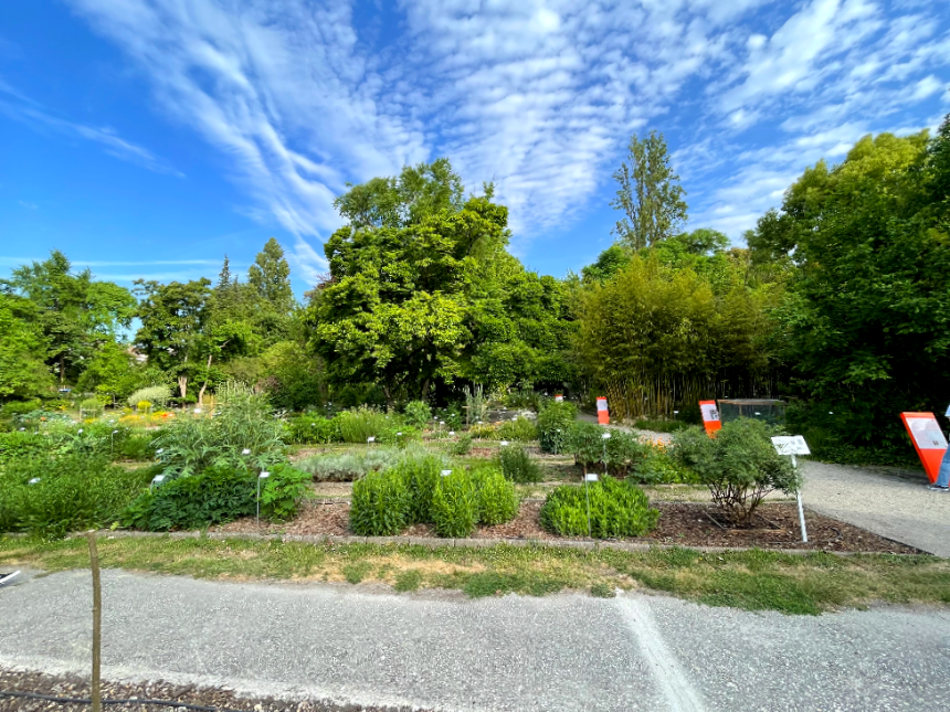 듀 쟈흐당 쀼블릭 식물원