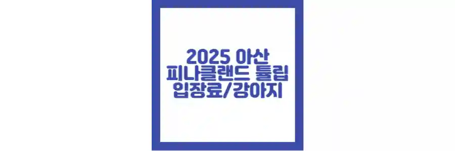 2025 피나클랜드 튤립수선화축제 포스팅 섬네일
