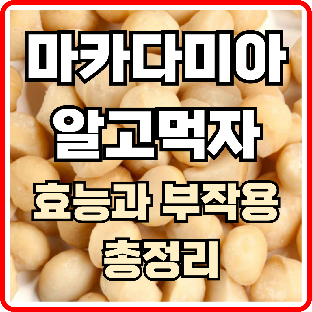 마카다미아 효능과 부작용|하루 섭취량·칼로리·알레르기까지 완벽 정리