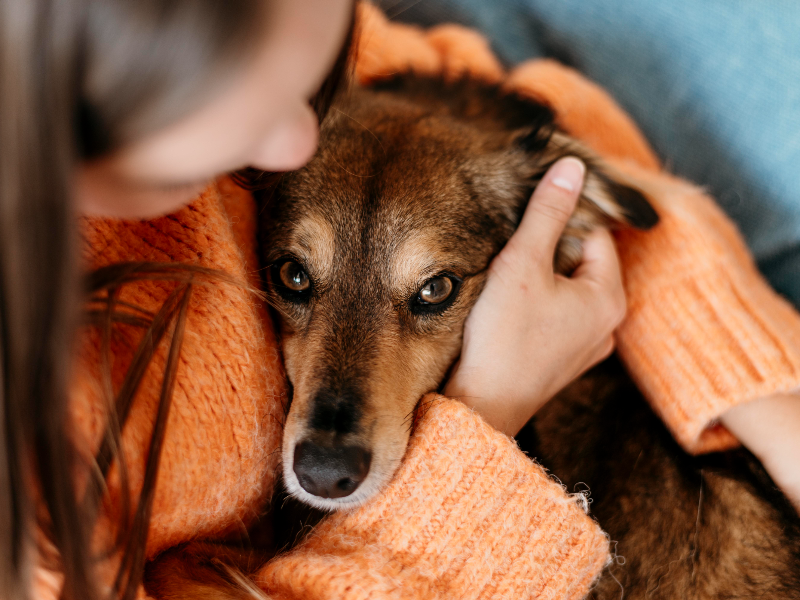 소녀의 품에 안겨있는 강아지