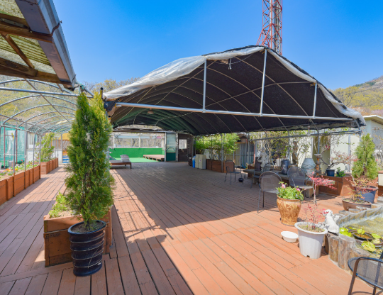 신촌 숲속한방랜드