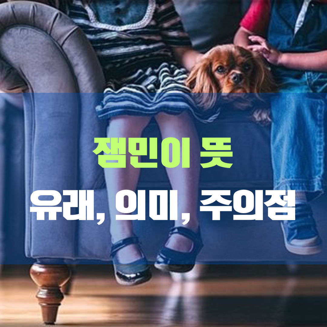 잼민이 뜻 신조어의 이해와 사용 시 이것은 주의하세요