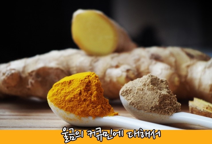 약-스푼-커큐민-카루