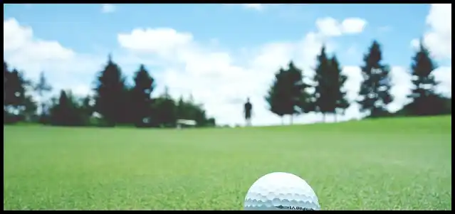 파크골프채 가격 추천 (혼마, 피닉스, 미즈노)