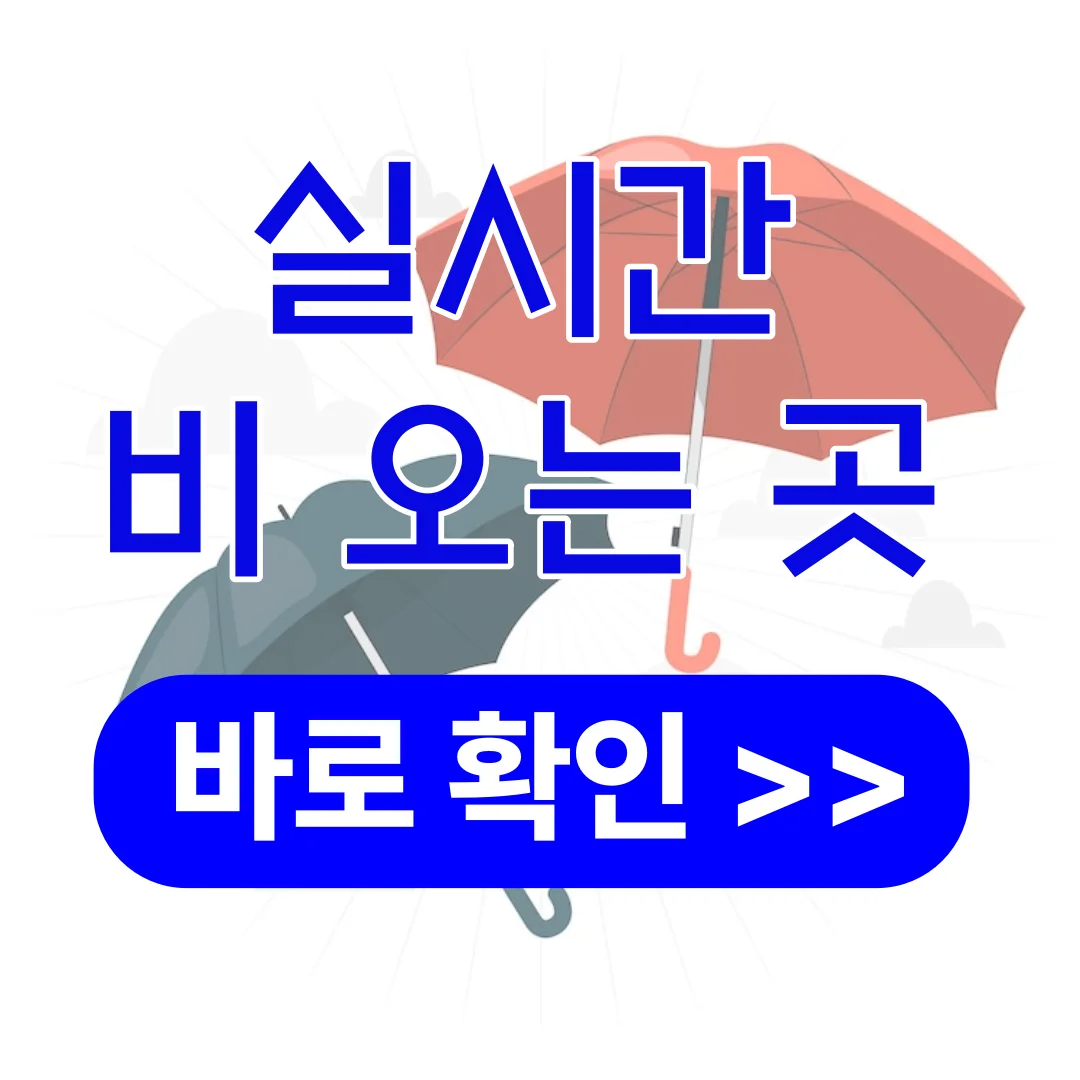 실시간 비 오는 곳 오늘의 날씨, 기상청 날씨누리 동네 단기예보