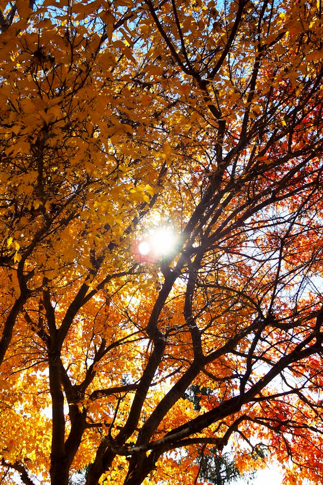 11월 12일부터 11월 18일까지 전국 날씨 예보