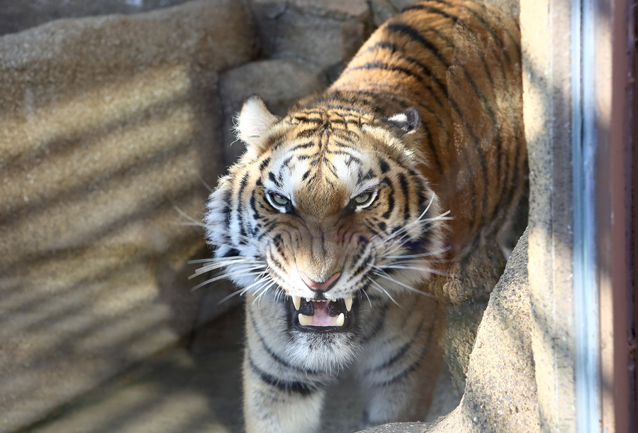 네이처파크 플라워페스티벌 2025