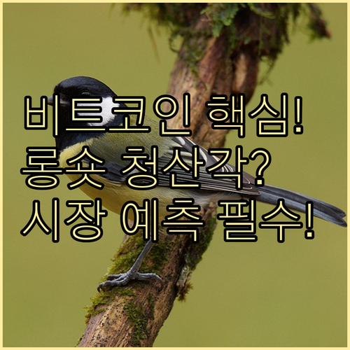 비트코인 강제청산 메커니즘 롱숏 비율..