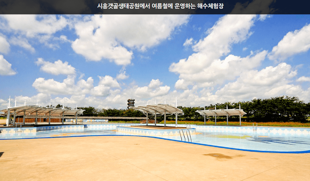 가을여행지 시흥시 갯골공원