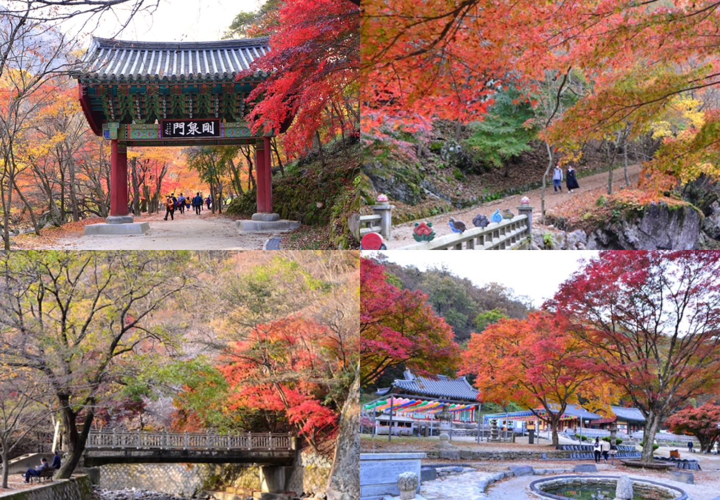 강천산 단풍절정시기