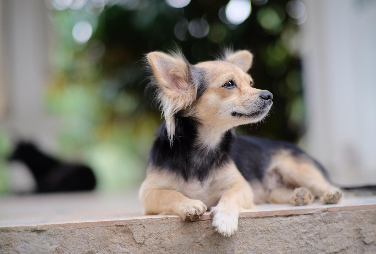 좁은 폐쇄 공간의 심리학: 엘리베이터 내 기압 변화와 시각적 압박의 실체