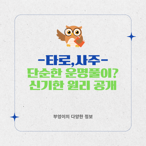 타로, 사주, 단순한 운명 풀이일까? 신기한 원리 공개
