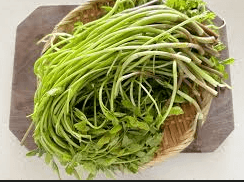 미나리 사진 - 00116