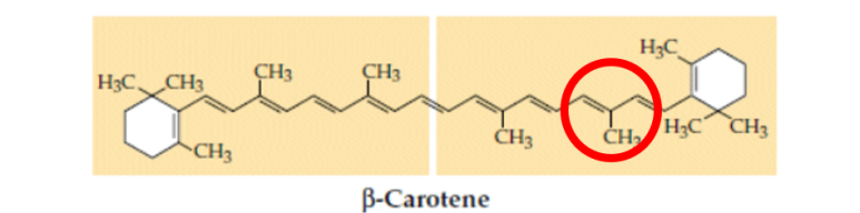 베타카로틴 화학식