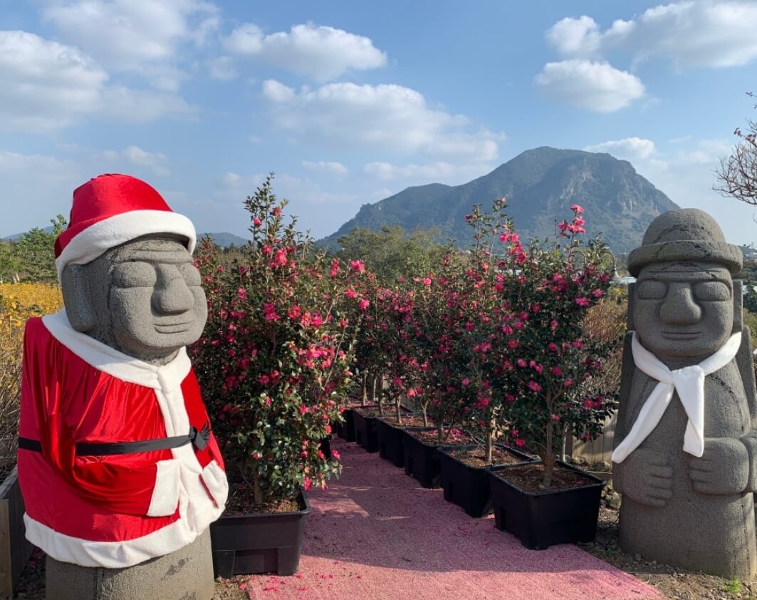 마노르블랑은 2천평이 넘는 정원에 7000여본에 장미와 유럽수국&amp;#44; 동백으로 꾸며진 환상적인 정원입니다