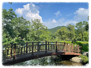 고창운곡람사르습지