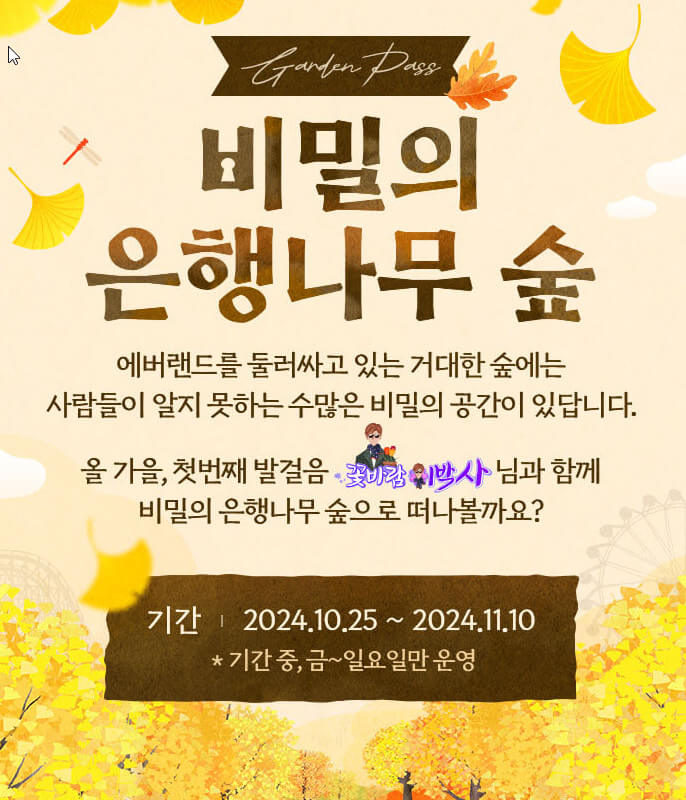 에버랜드 비밀의 은행나무 숲