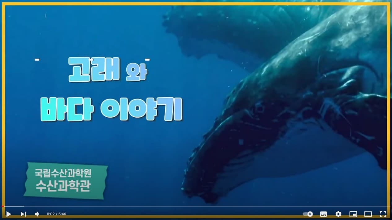 고래와 바다 이야기
